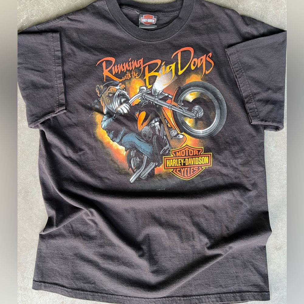 00s Harley-Davidson Runnin with Big Dogs Black and Orange Graphic Tee
